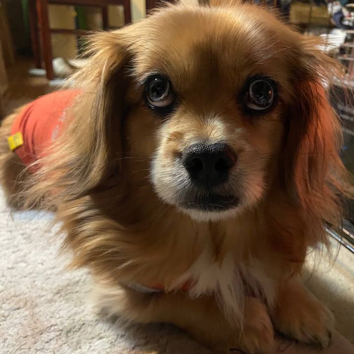 832a9c92 d350 4cae 9c1a c7d5c80637cb 1673991411706