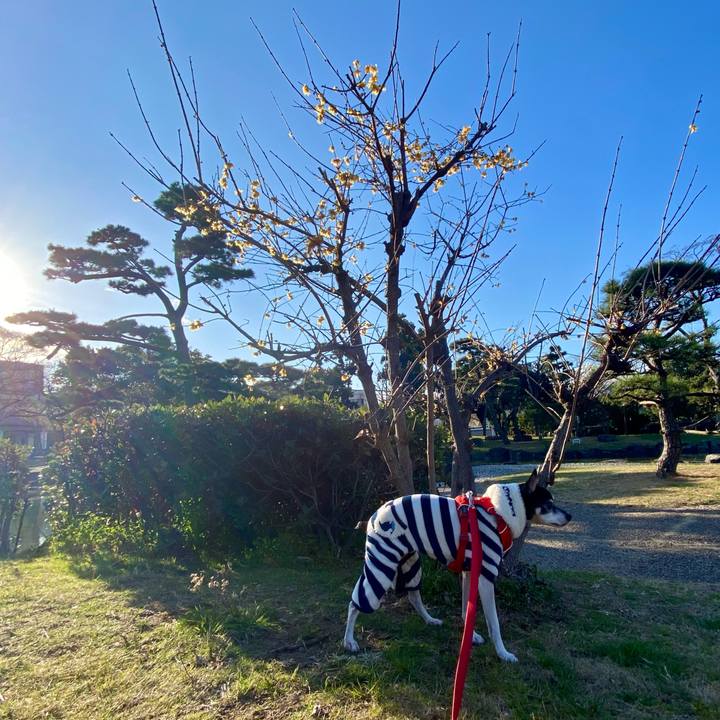 832ab71f 36f0 40f5 878b e286c2c6860c 1611977910013