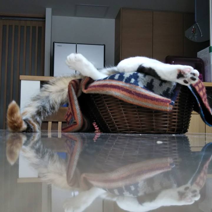 832ad941 609e 44f6 9f27 6136e15e4f44 1648883920649