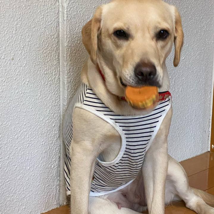 832b27c3 2cfe 4942 8b3e 1674483a0775 1616682845607