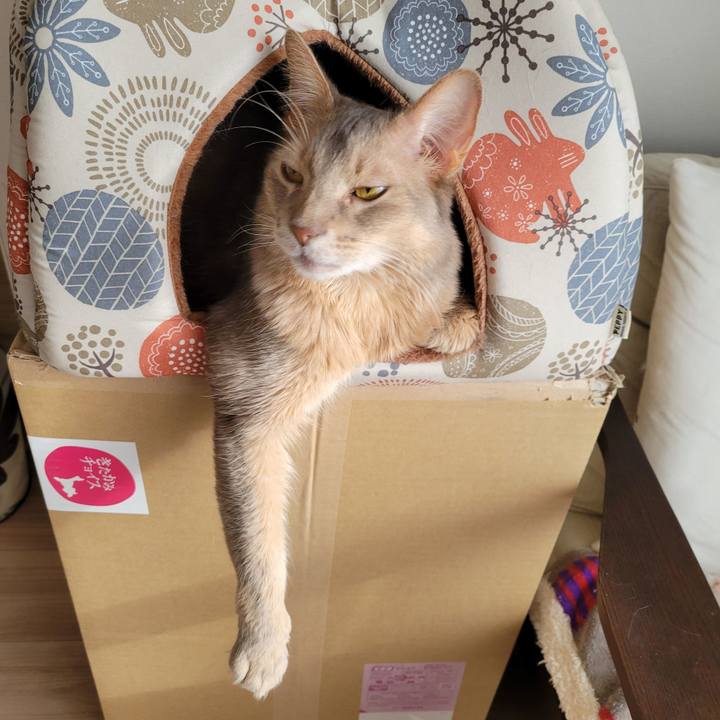 832b44ce c7de 4e2e b28a ea61d59141a2 1643279712360