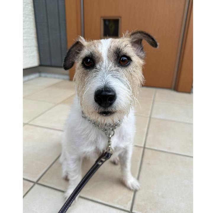 832b5a05 cac8 4227 b562 3b312074ff41 1729095762173