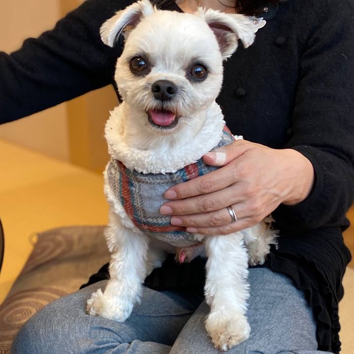 832b5cd8 a593 4090 a68a 8f158d5e8c38 1578120788373