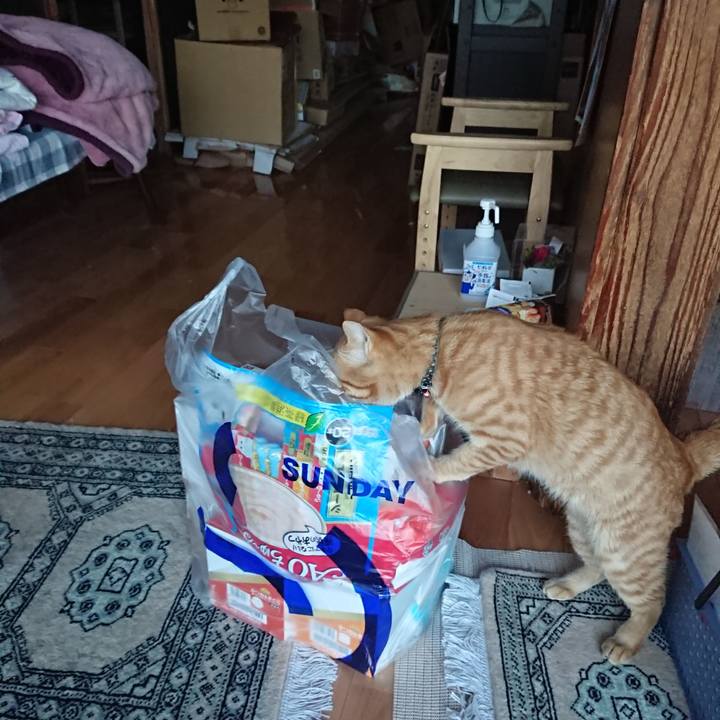 832b74b9 8e18 44f1 a640 ead21b95f422 1650101494670