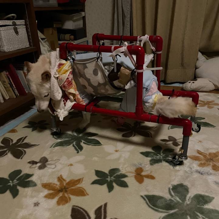 832b7f51 fe8a 48f2 a1ba 74d13ad2b665 1674674524271