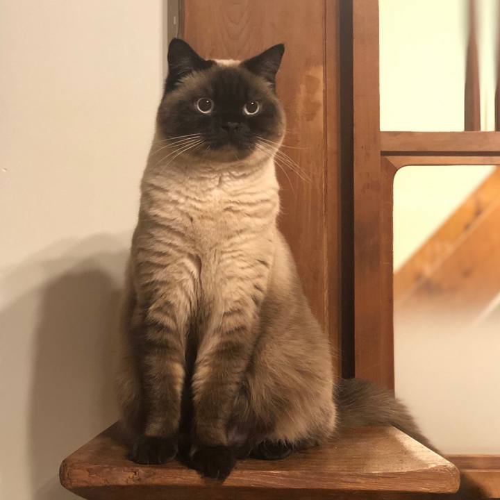 832b9f4c 3426 4238 b9f5 974b2db504fa 1620819900690