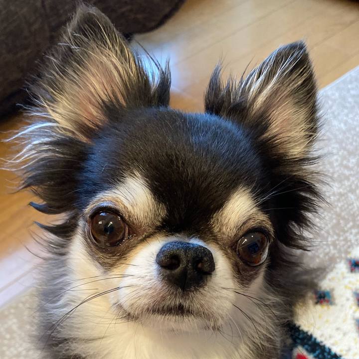 832bc806 740a 4900 a63a 793846696904 1719014505565