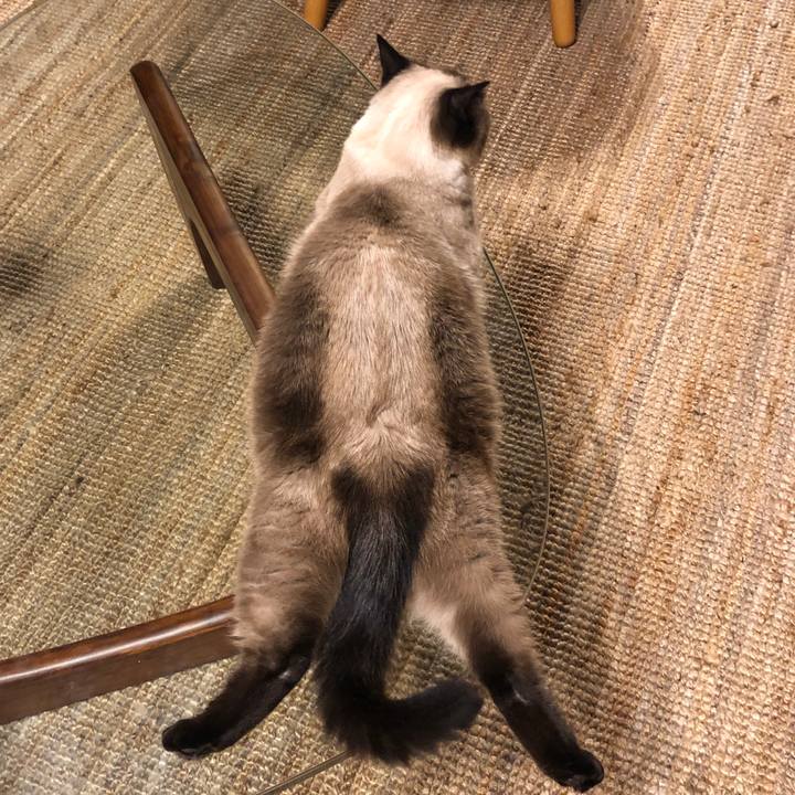 832bf710 e37e 4803 bbfd c1ee9e48f5e9 1629717494558