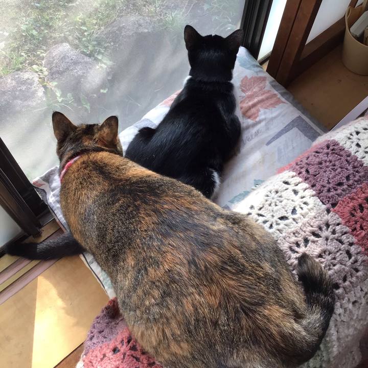 832c61cf 61e0 4292 9776 869cece705de 1634255932829