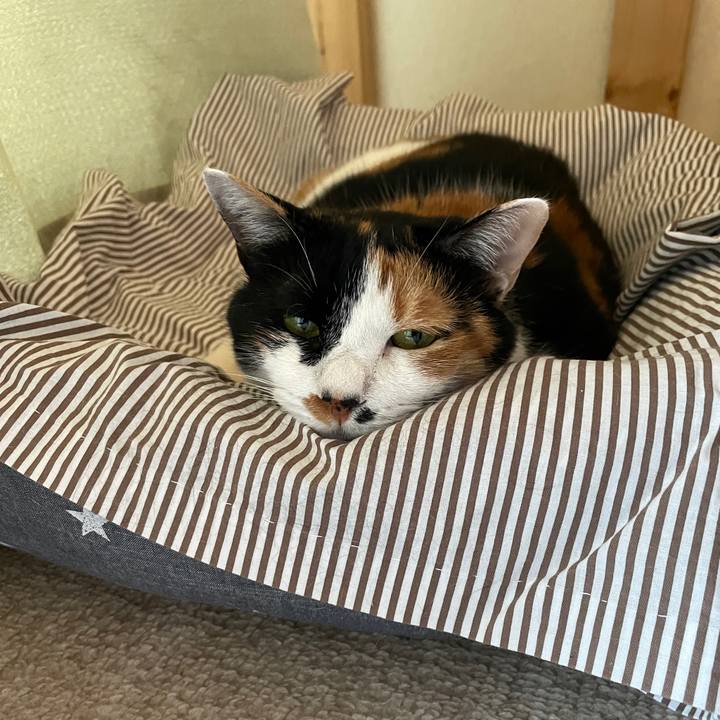 832cbd0e 29ef 4432 8833 59f239655272 1718059729309