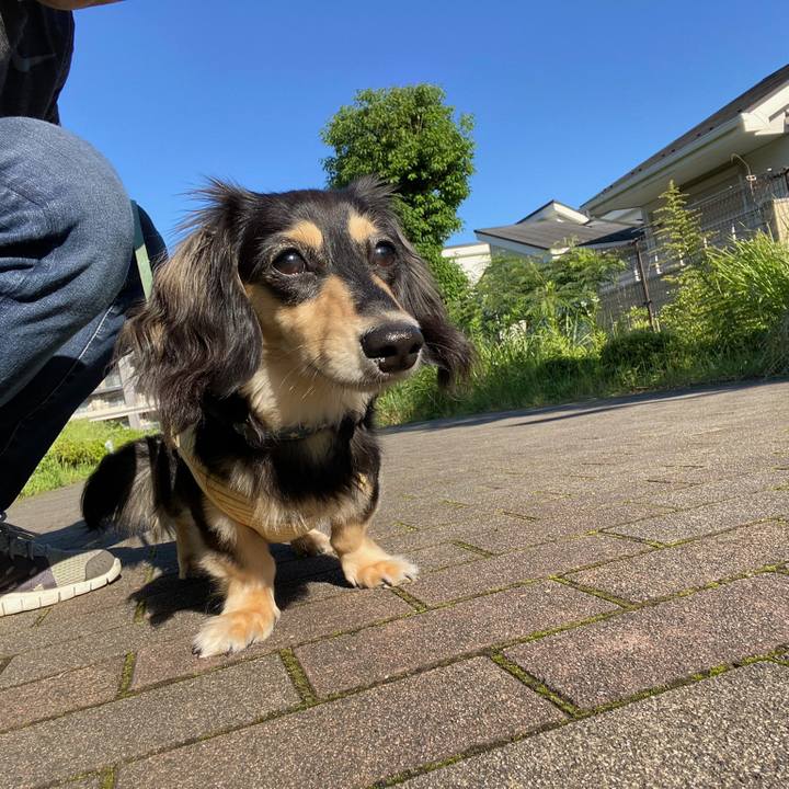 832ceba1 cd9e 443c ad99 a1ad8781ec20 1686984064520