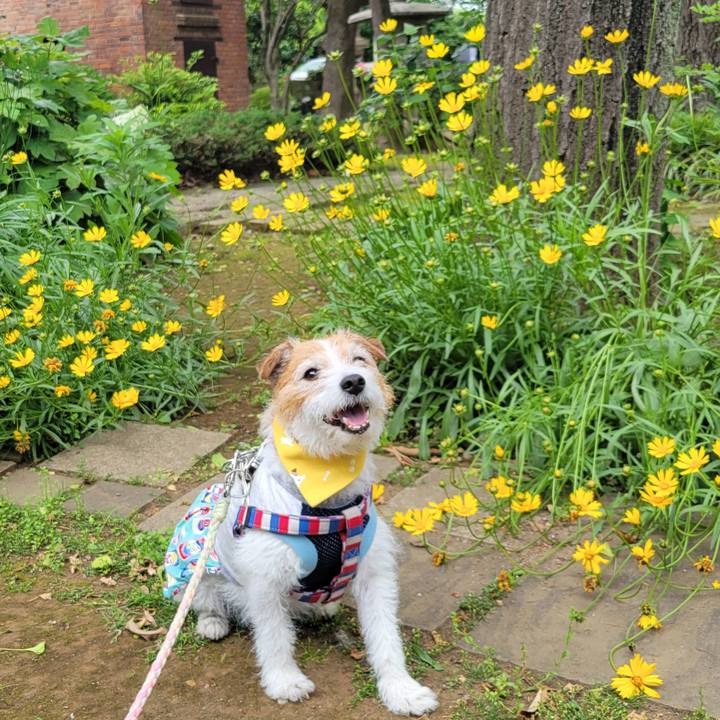 832d044d da3e 4eae 82b1 c0ccb7214694 1748066423715