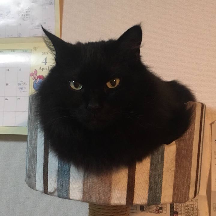 832d180d 61be 4841 854a d02d96a635bb 1553540597599