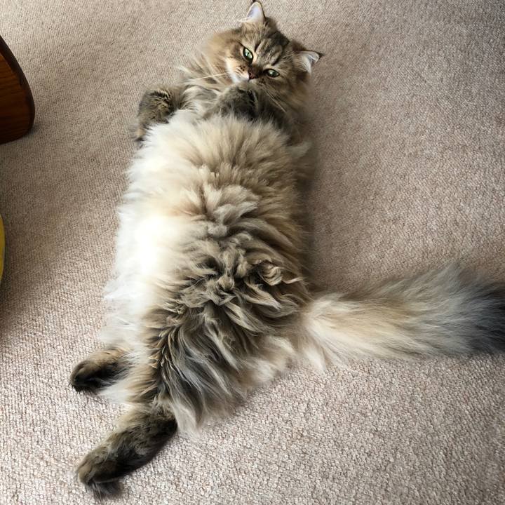 832d578d 87b7 4bf4 a9bb 6bf88ba342a2 1538630322797