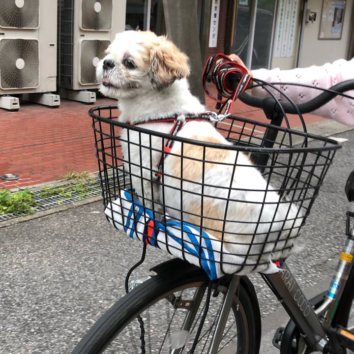 832d61a3 7f96 4738 ae62 759c9aa2b7cd 1571176020826