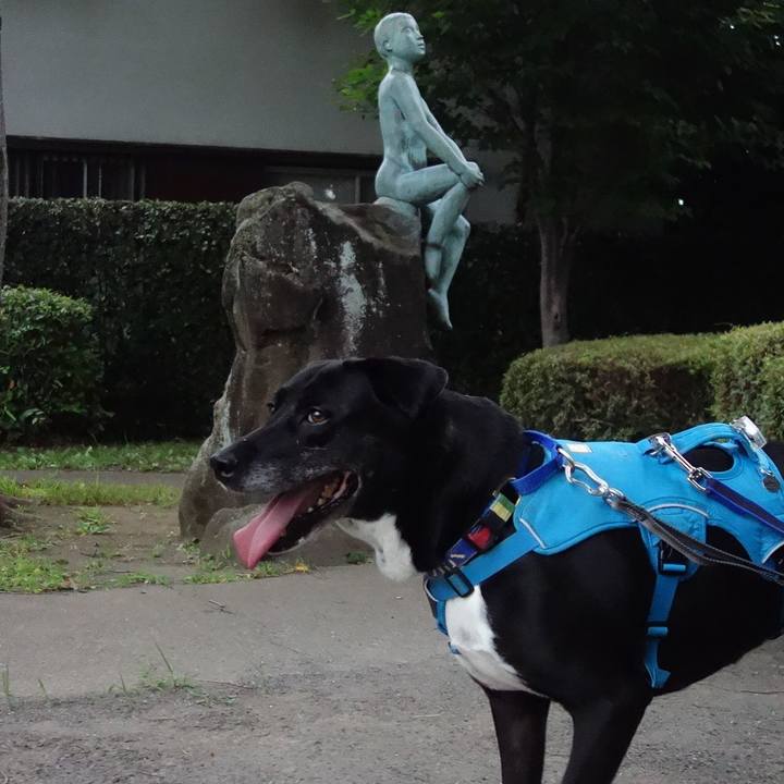 832d9e9b 88e6 4de0 a446 bb8569c476ac 1688553876776