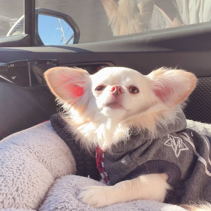 832da443 64d9 4a20 8fdc a1a8ed2bf18e 1737184036626