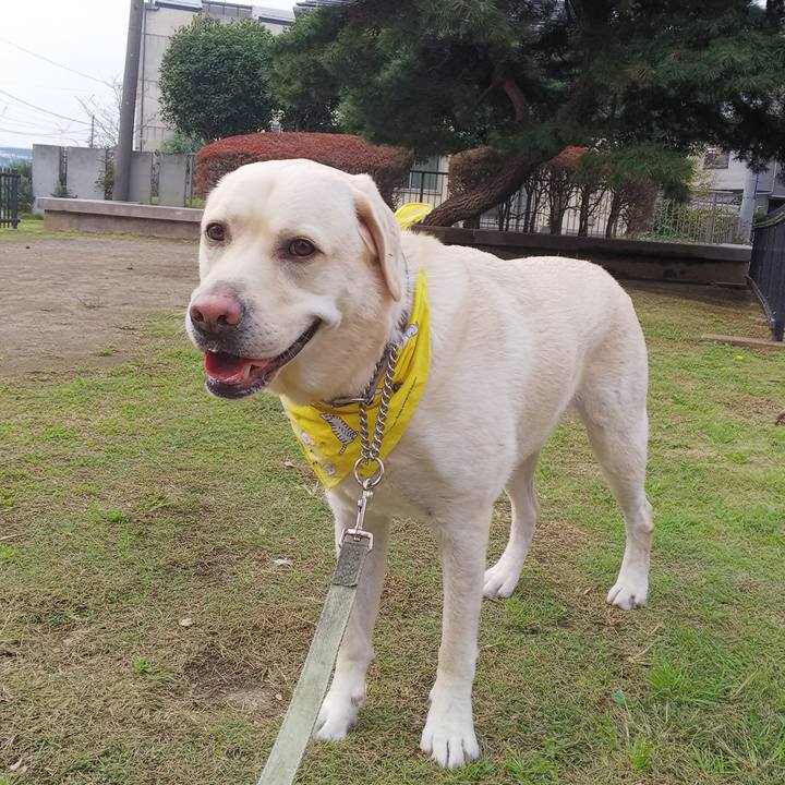 832db1b4 3b45 4e30 ba61 bcf2c8497e2c 1542002751207