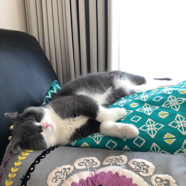 832de635 02b8 462a b880 e7c6c53952be 1519277057576