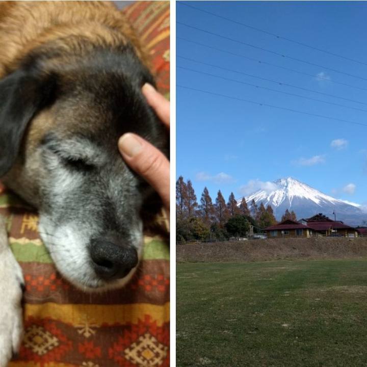 832e4eeb aa26 46de 9d57 8f4c3c7304fc 1512167668175