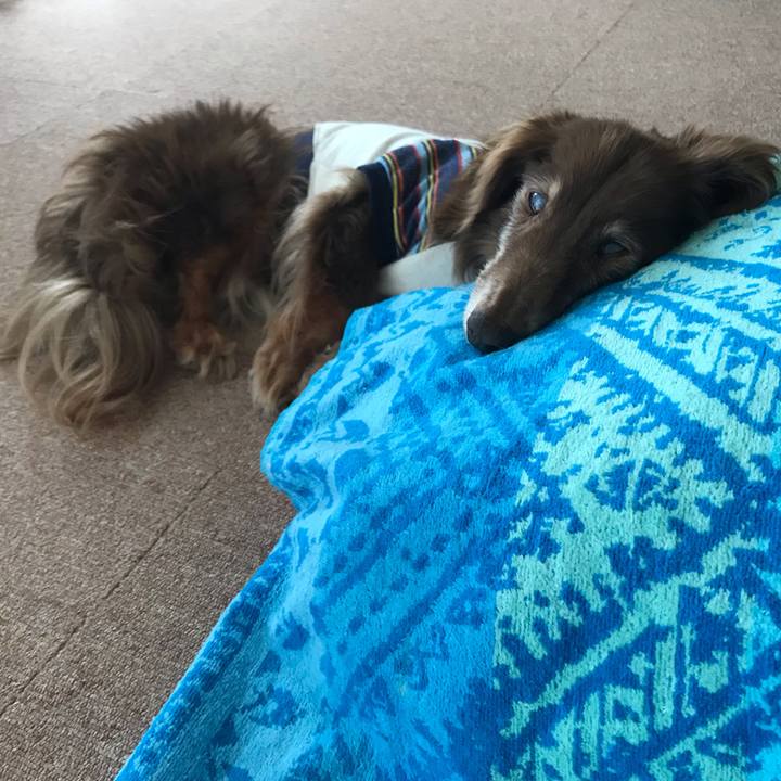 832e596d 7424 4572 aff3 567597c1c103 1589518924682