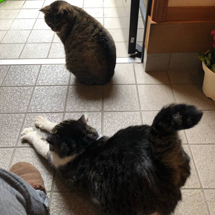 832eab88 29ac 4033 ac60 db63a94e19cf 1520498456011