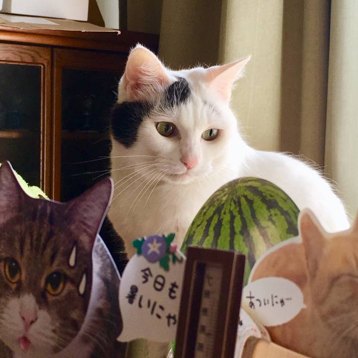 832ef09e d042 440f 8f7e a5ed4dc6ad2a 1568262516581