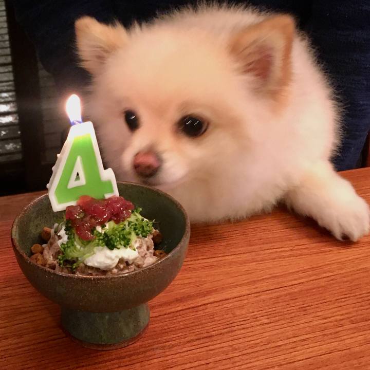 832f224e 48ae 4e67 82f4 7ba808615068 1583927510674