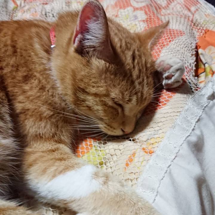 832f39c2 5be9 4fe3 9c55 ea7654662270 1569153892145