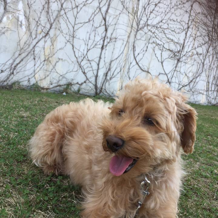 832f5c65 a29b 4fce b204 0db6a28ee29d 1525147212864