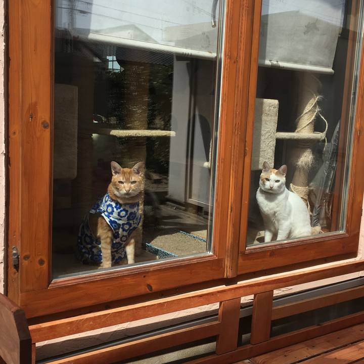 832fc505 f40b 44f3 be45 081373c7ba2a 1522472753586