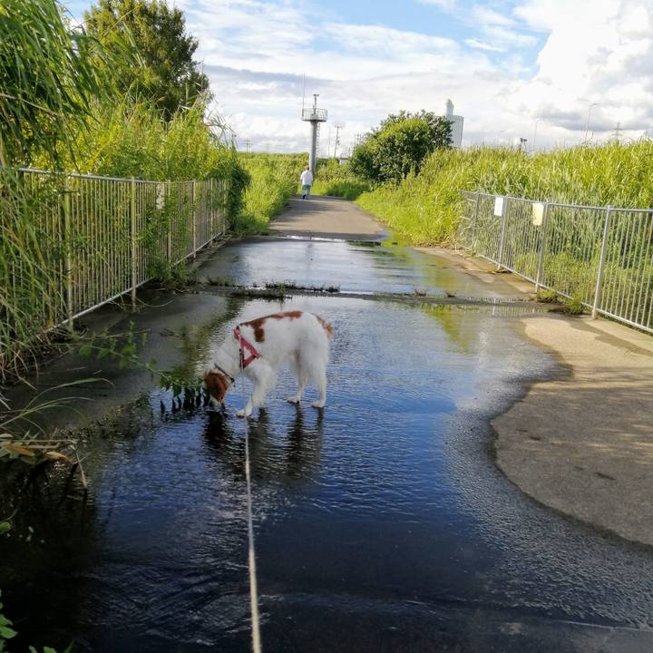 832fcb23 56a0 4720 89c7 151e544badf3 1629285352288