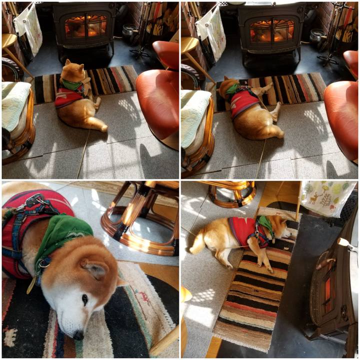 832fffea d95d 4d1b ba40 3a4ff6981421 1553815186756