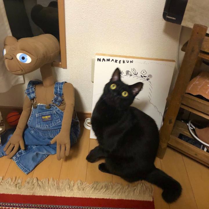 833062f6 b226 434f bc0c a9fc196a5fd4 1556022817215