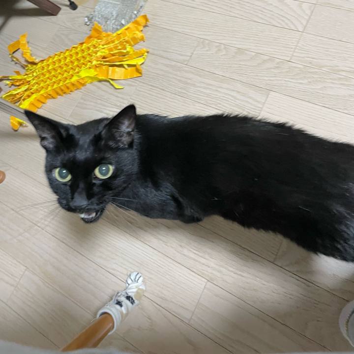 83306a9c e2c6 4c64 9f6c c1637536790e 1686923287765