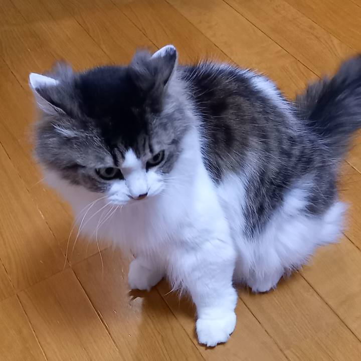 83308eea c551 4c1d b057 0bd336ec95f4 1647911509286