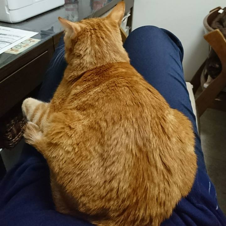 8330baab c3b5 4e1f 8334 1fe7d96851de 1541564637543