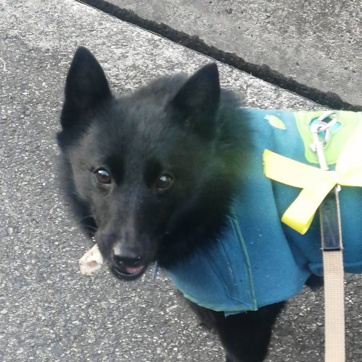 8330ec6a 6f08 47c9 9f40 0e1a33ff2a8e 1643754770623