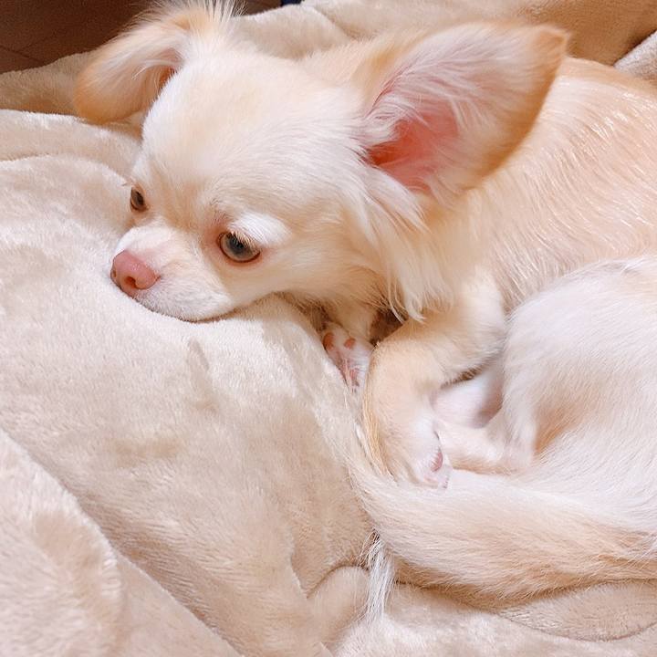 8330f60e 7fa6 444f 923f 18ab95167d87 1623976469029