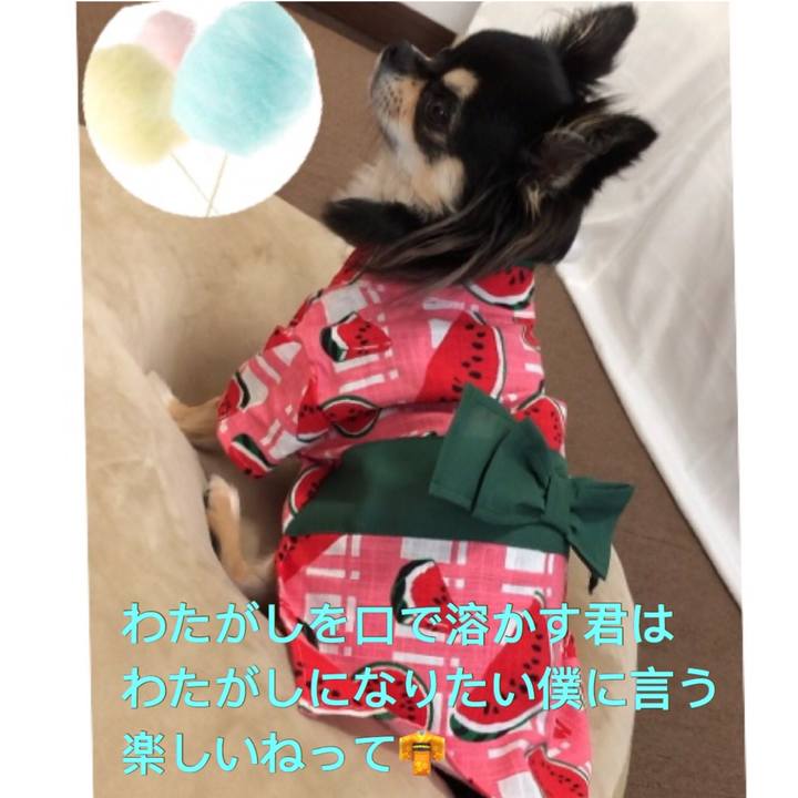 833102d9 09bb 4fc3 801b 3efc499c5ed0 1597313524926