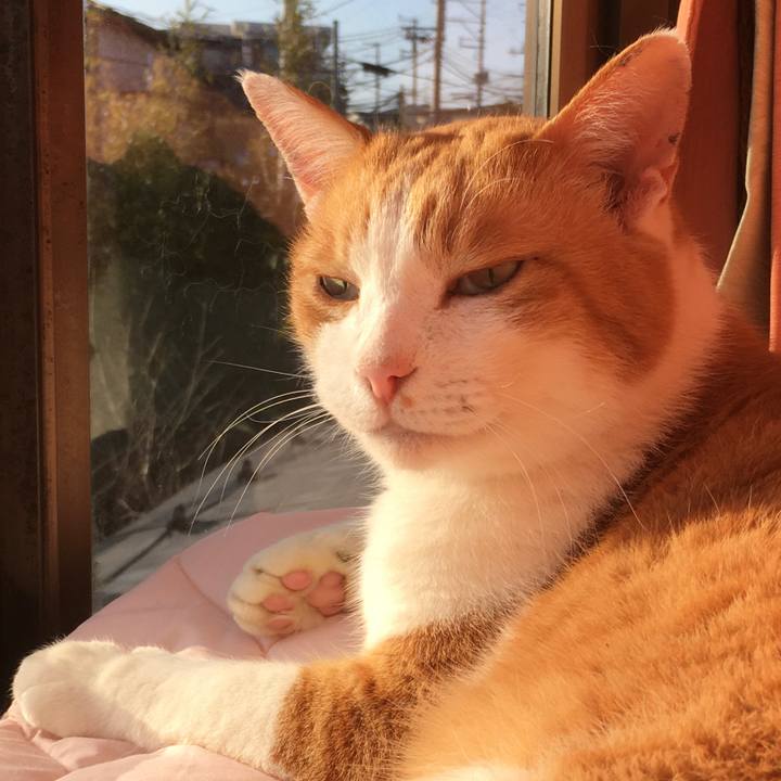 83310847 9b9b 45dd af21 934e19fb89e4 1580089885376