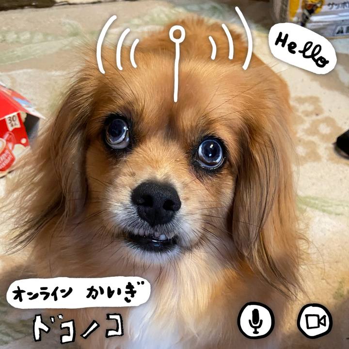 833133d8 963d 4141 8f26 70ba39d30a30 1593905212067