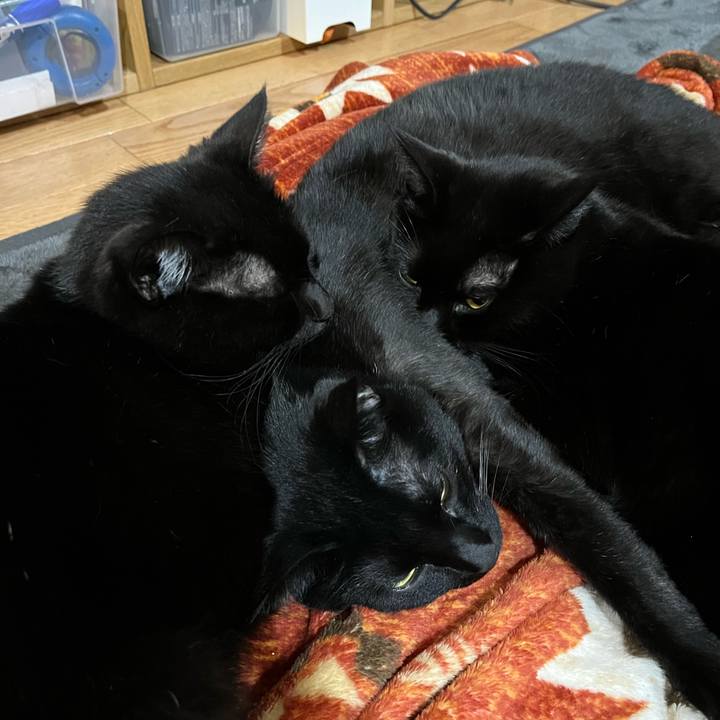 8331d73a d9ad 4013 9f43 63cf82d2ab67 1642764803995