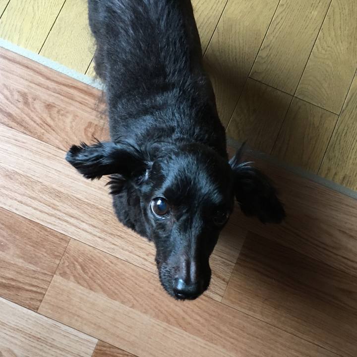 8332363d ddc4 46b5 9967 099892a4b493 1533766136897