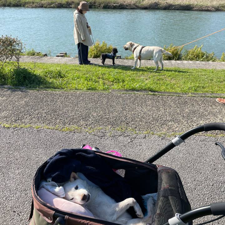 8332632a b7f8 475b 9a01 f3d8df906803 1681036871376