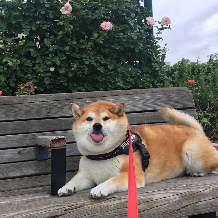 83326817 3339 4650 ab7a 60f15116ea2c 1595997201482