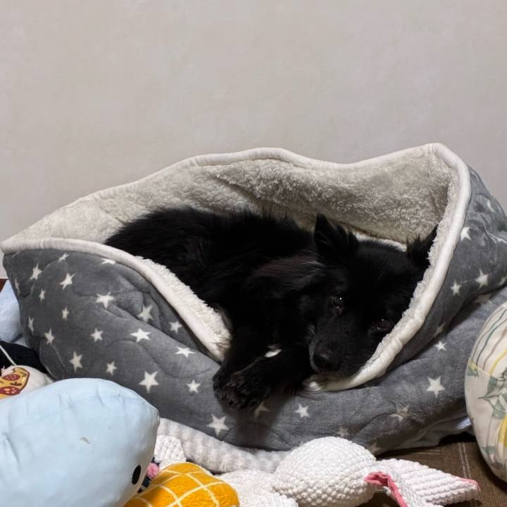 83327072 10f4 42fc a539 4ccf0a070c15 1762178889616