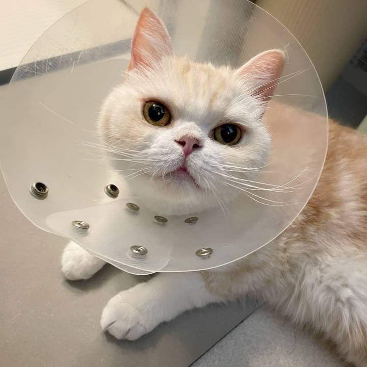 83327cfc 7638 44e0 adf9 b78418cd4c24 1757163306135