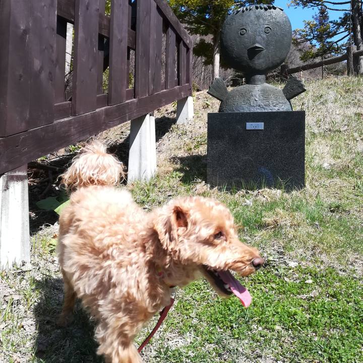 8332b844 0dc7 437b a27e 09410072c300 1556490866794