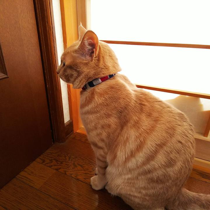 83333cf5 fa17 404a a165 788f69173e8c 1552788258689